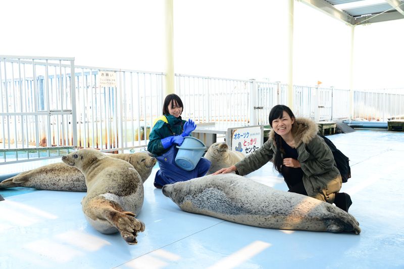 オホーツクとっかりセンター オホーツクとっかりセンター